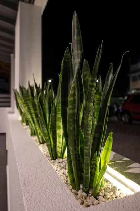 Poem Apartman Kosz Kültér fotó